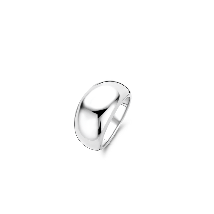 Ti Sento Descontinuado Ring 12171SI Ring