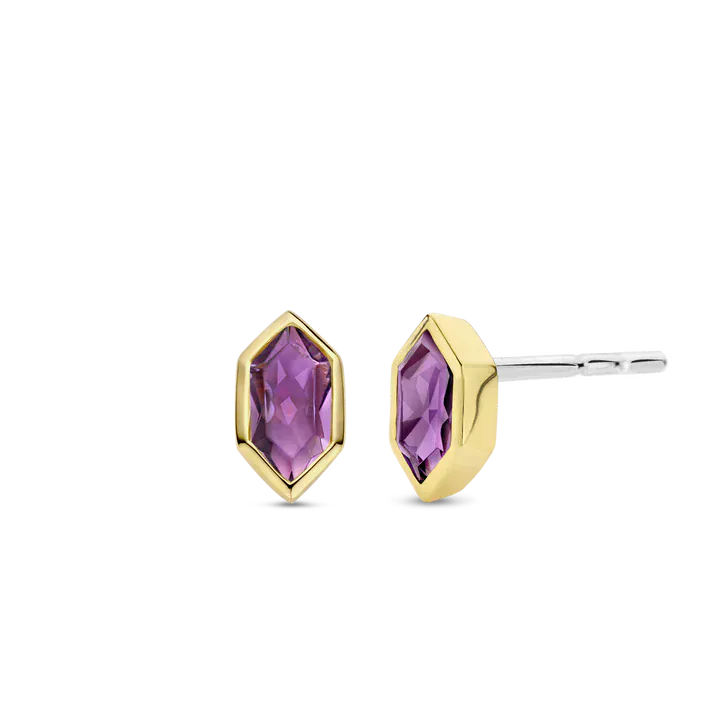 Ti Sento Descontinuado Earring 7944PU Earrings