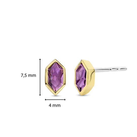 Ti Sento Descontinuado Earring 7944PU Earrings