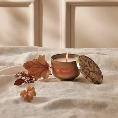 Thymes Fragance Pumpkin Laurel 6.5oz