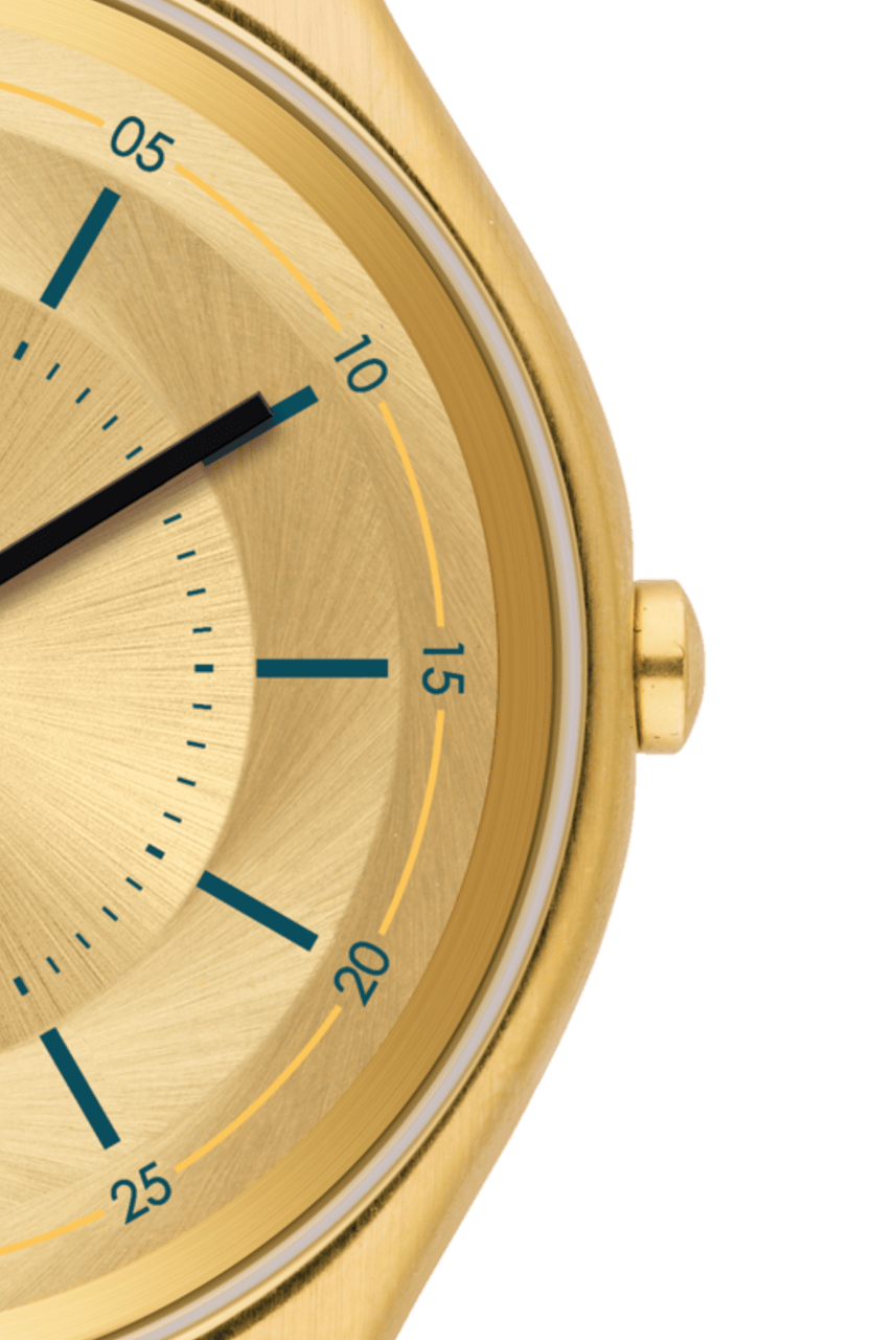 Swatch Watch SKINDORO