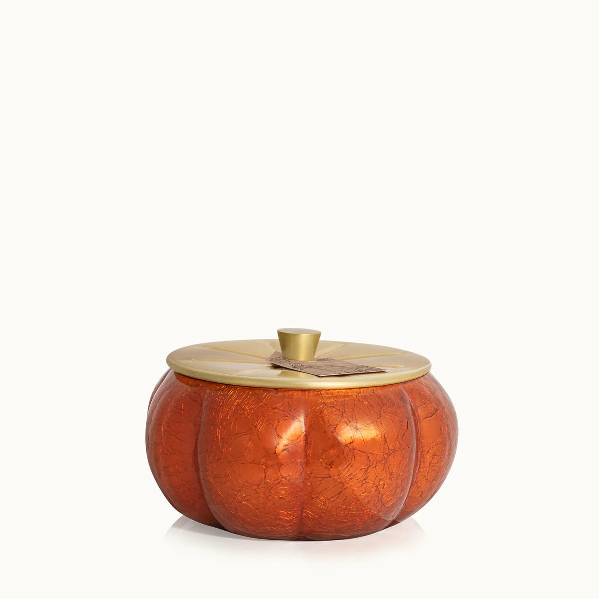 Thymes Fragance Pumpkin Laurel Statement Large Candle