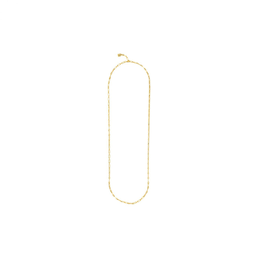 Chain 6 Gold Necklace - e BOU-TIKe